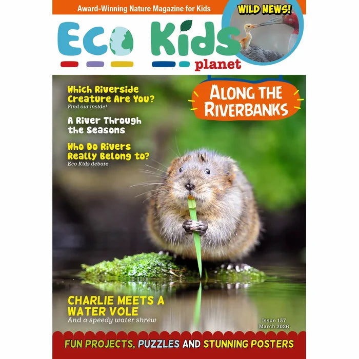 Eco Kids Planet March 2026 kids nature magazine cover featuring a water vole by a riverbank