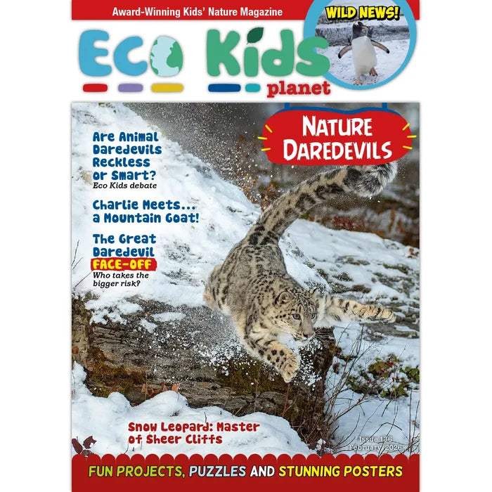 Eco Kids Planet  – Bundle of Six