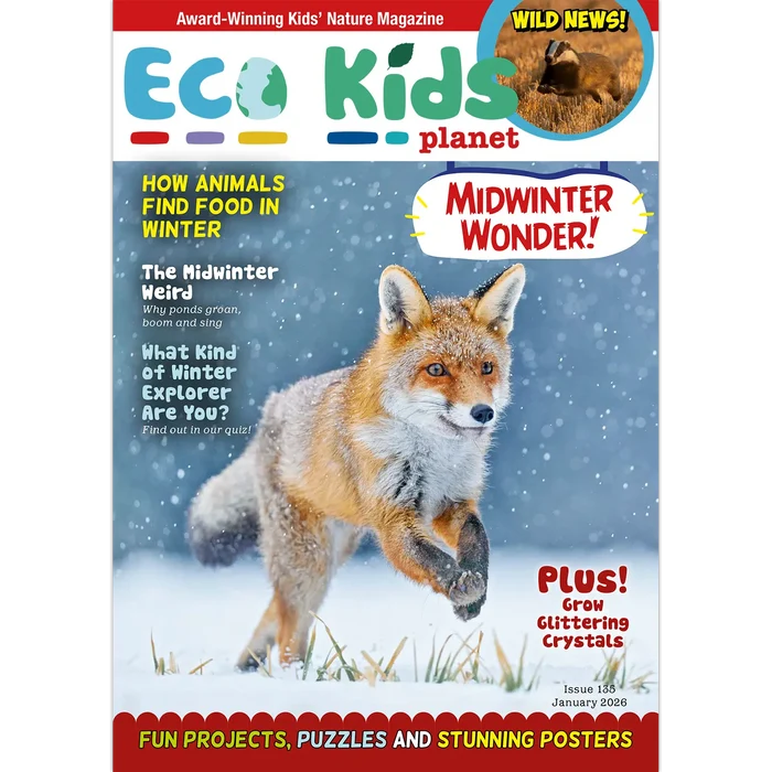 Eco Kids Planet  – Bundle of Six