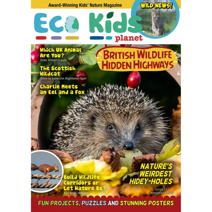 Eco Kids Planet  – Bundle of Six