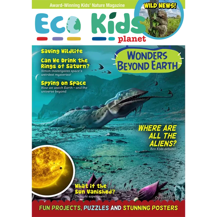 Eco Kids Planet  – Bundle of Six