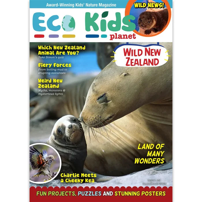 Eco Kids Planet  – Bundle of Six
