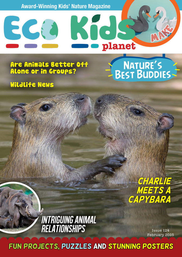 Eco Kids Planet  – Bundle of Three