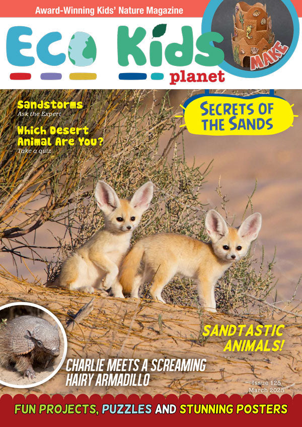 Eco Kids Planet  – Bundle of Three