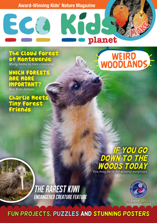 Eco Kids Planet  – Bundle of Three