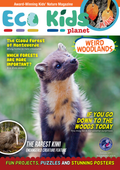 Eco Kids Planet Magazine - 3-Monthly Subscription (Freebie)