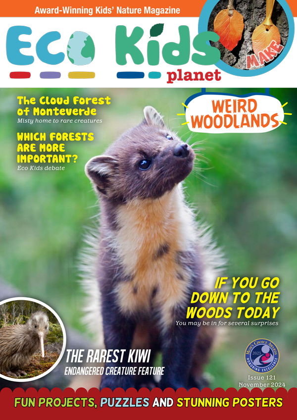 Eco Kids Planet Magazine - 3-Monthly Subscription (Freebie)