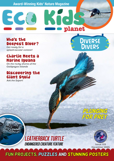 Eco Kids Planet Magazine - 3-Monthly Subscription (Freebie)