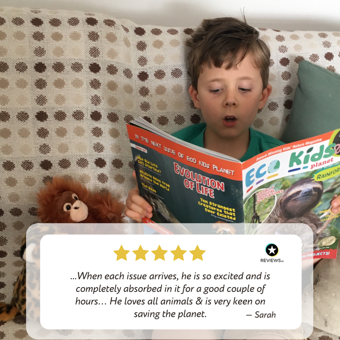 Eco Kids Planet Magazine - 6-Monthly Subscription