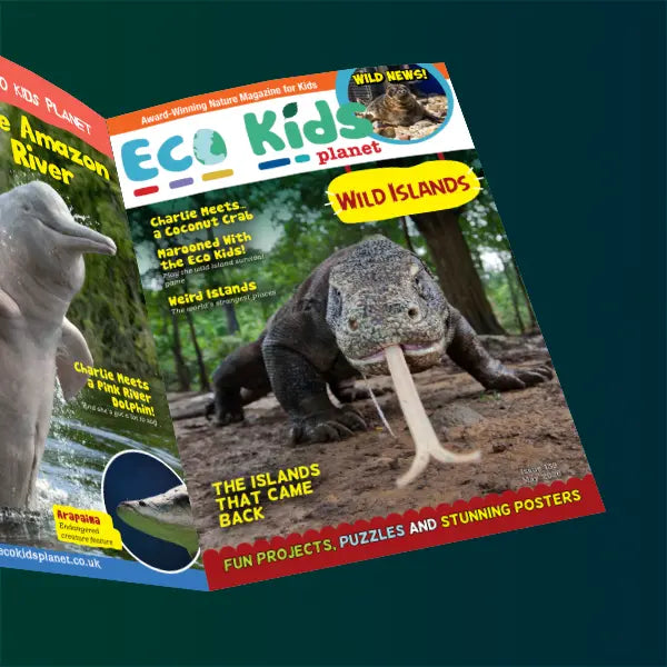Eco Kids Planet Magazine - Digital Subscription - 1 Year
