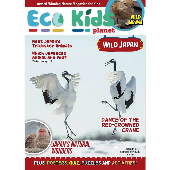 Eco Kids Planet Magazine – Gift Subscription