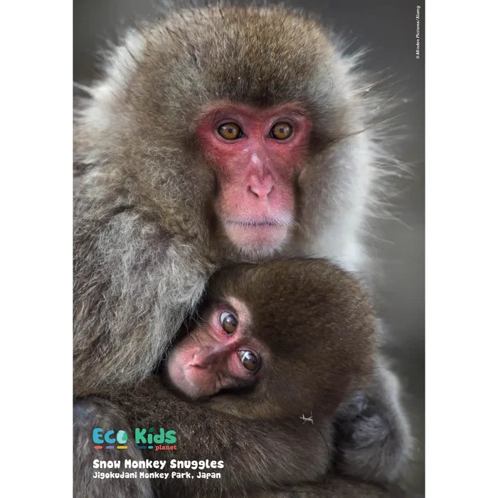 Eco Kids Planet Magazine – Starter Subscription