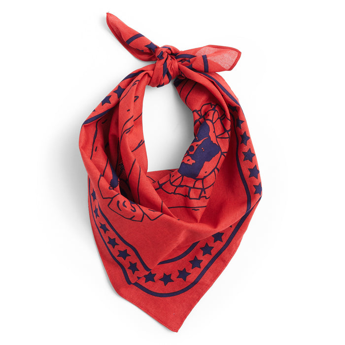 HAY - Dogs Hundetuch | red