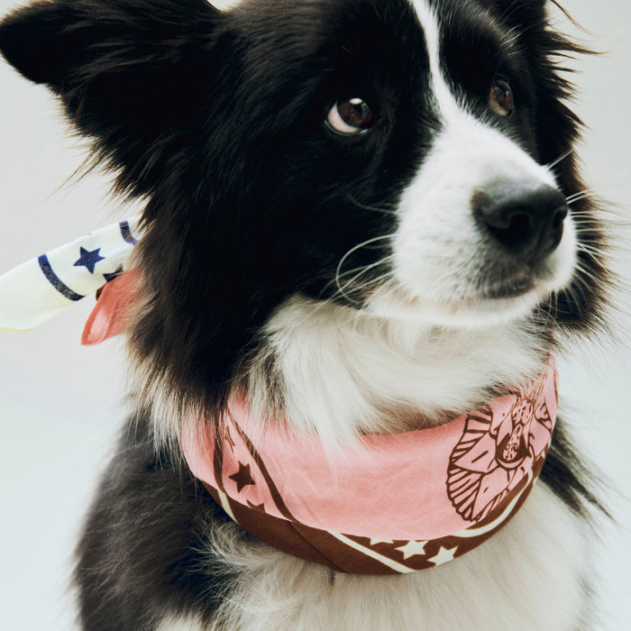 HAY - Dogs Hundetuch | pink