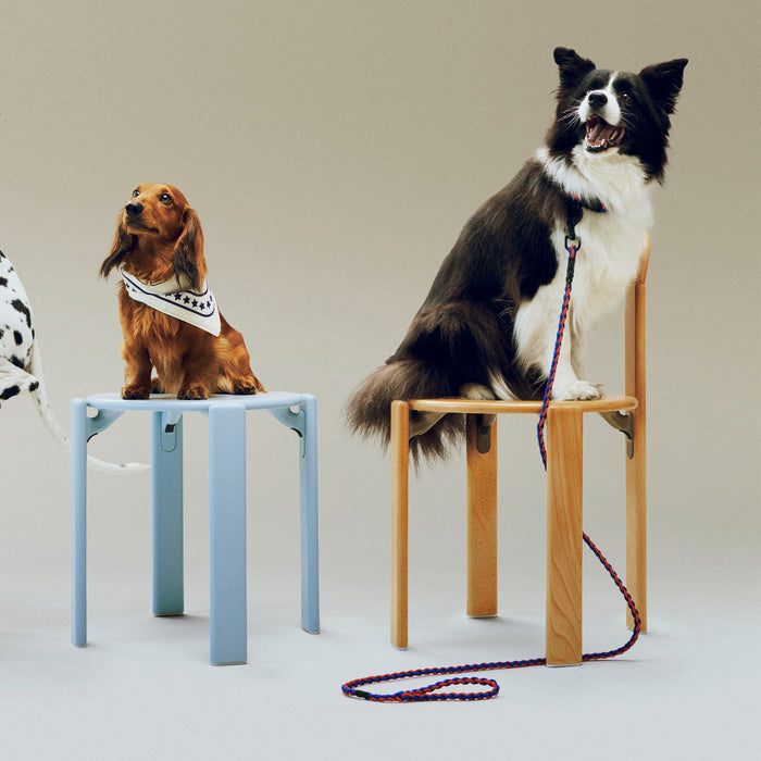 HAY - Dogs Hundeleine | verstellbar / blue/red