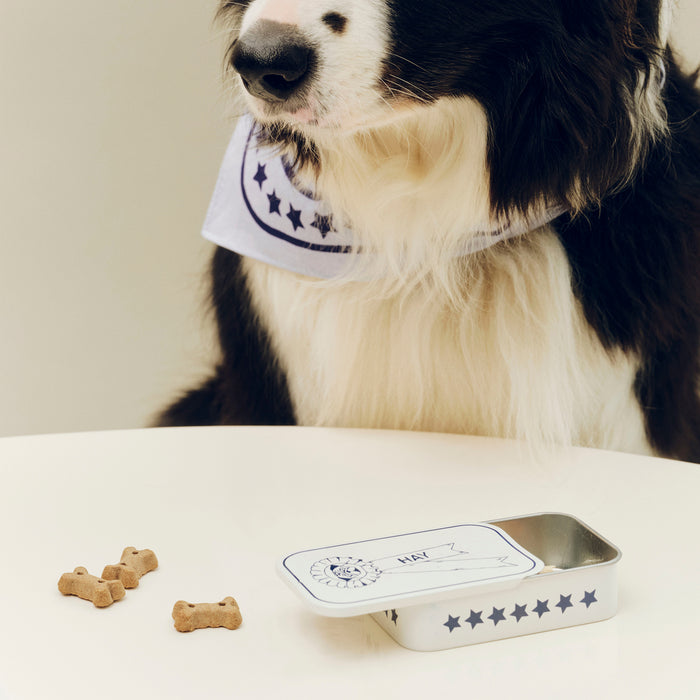 HAY - Dogs Leckerlidose