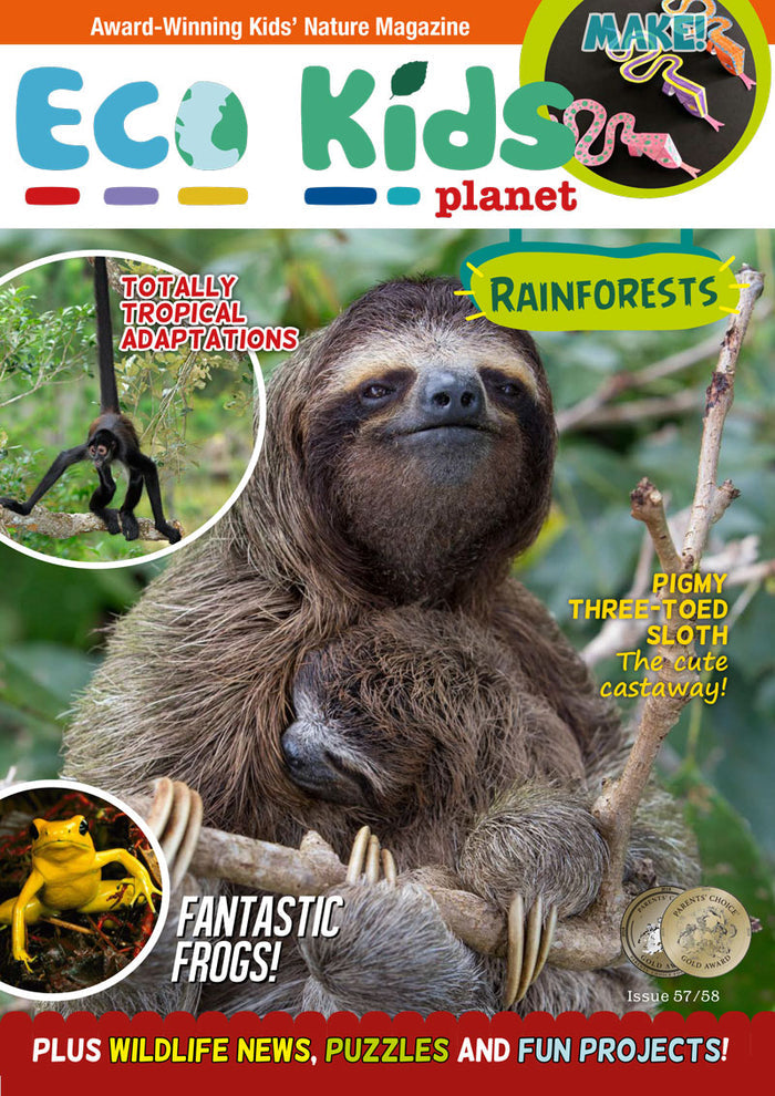 Kid's Nature Magazines - Double Issue 57/58 - Rainforests