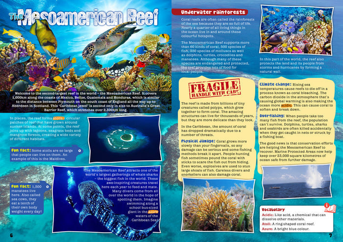 Kid's Nature Magazines - Issue 16 - The Secrets of the Caribbean Sea