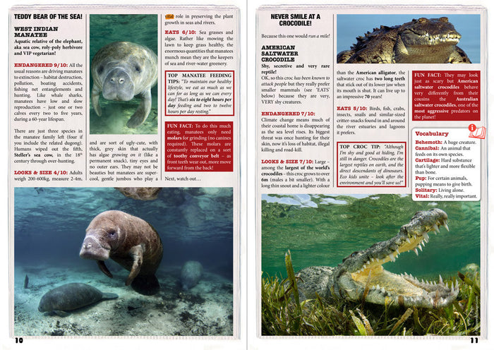 Kid's Nature Magazines - Issue 16 - The Secrets of the Caribbean Sea