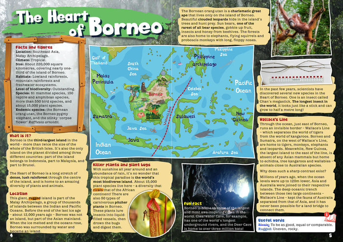 Kid's Nature Magazines - Issue 17 - The Heart of Borneo