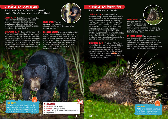 Kid's Nature Magazines - Issue 17 - The Heart of Borneo