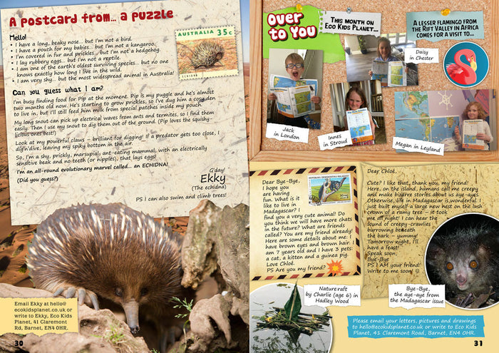 Kid's Nature Magazines - Issue 20 - Australia, Great Sandy-Tanami Deserts