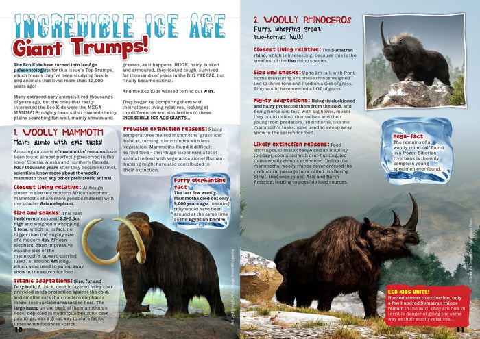 Kid's Nature Magazines - Issue 26 - The Mystery Ice Age