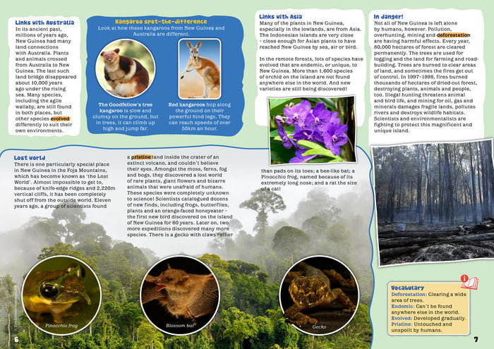 Kid's Nature Magazines - Issue 28 - The Island of New Guinea