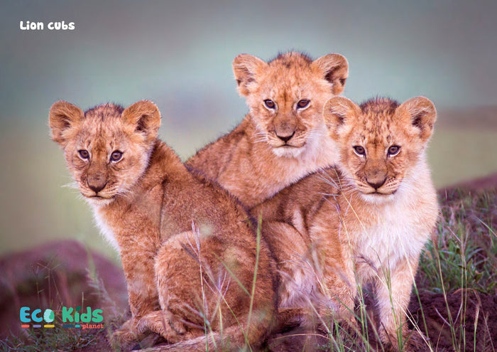 Kid's Nature Magazines - Issue 33/34 - Africa's Giants