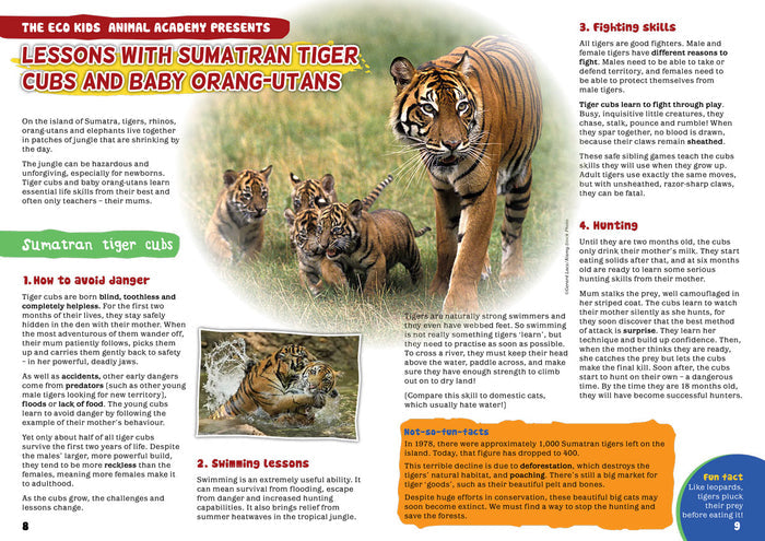 Kid's Nature Magazines - Issue 35 - The Sumatran Jungle