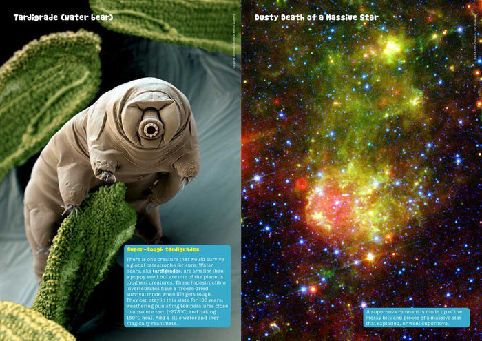 Kid's Nature Magazines - Issue 36 - Natural Disasters