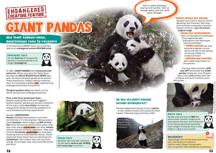 Kid's Nature Magazines - Issue 39 - Green Magic