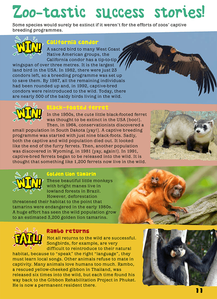 Kid's Nature Magazines - Issue 42 - Zoos