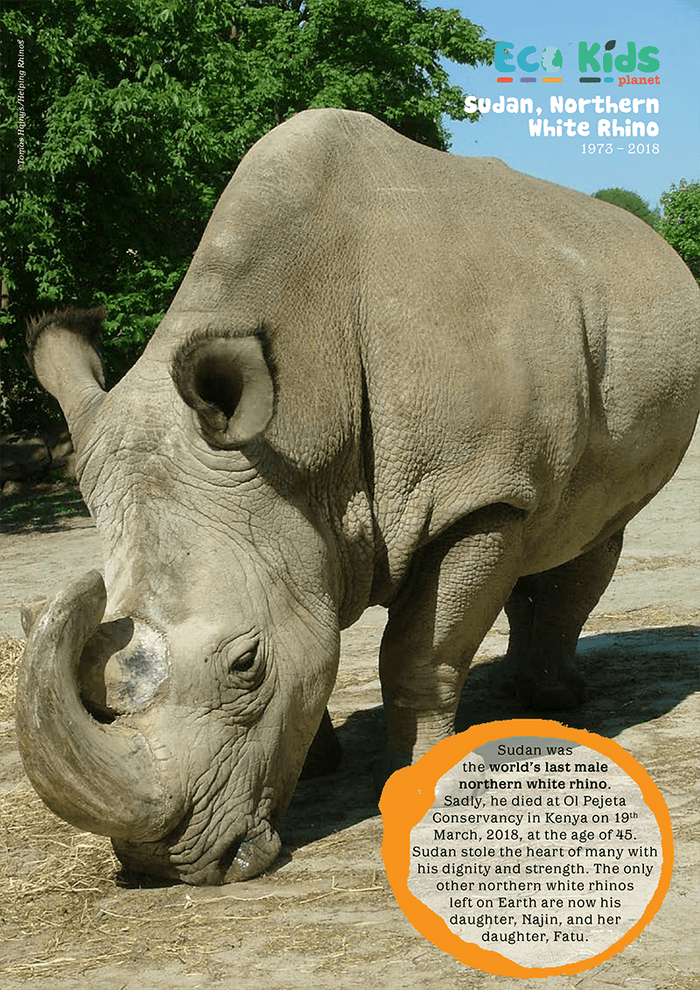 Kid's Nature Magazines - Issue 42 - Zoos