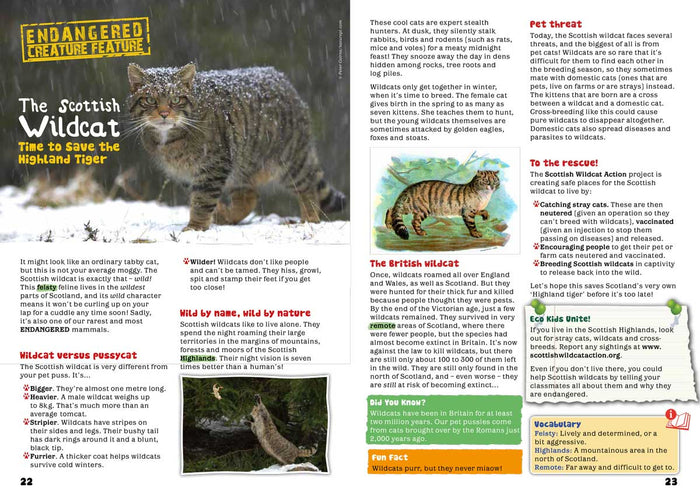 Kid's Nature Magazines - Issue 49 - British Wildlife