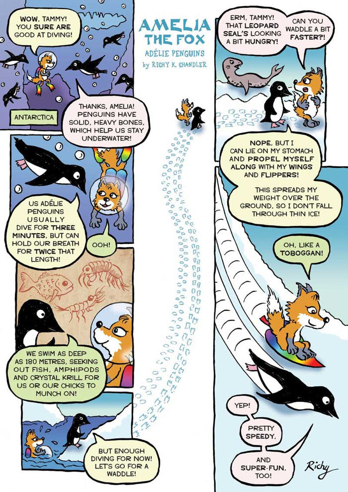 Kid's Nature Magazines - Issue 50 - Penguins of the World
