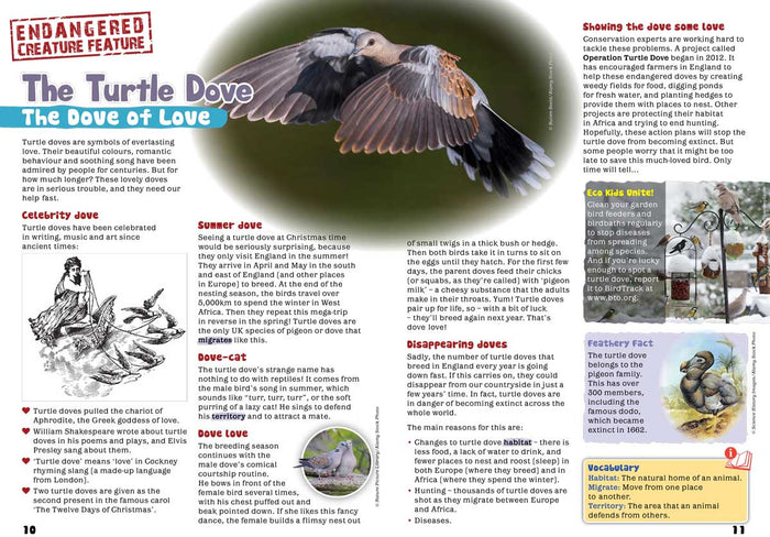 Kid's Nature Magazines - Issue 52 - Animal Friendships
