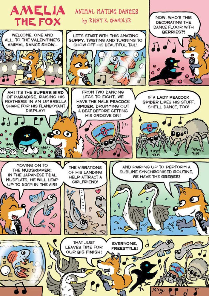 Kid's Nature Magazines - Issue 52 - Animal Friendships