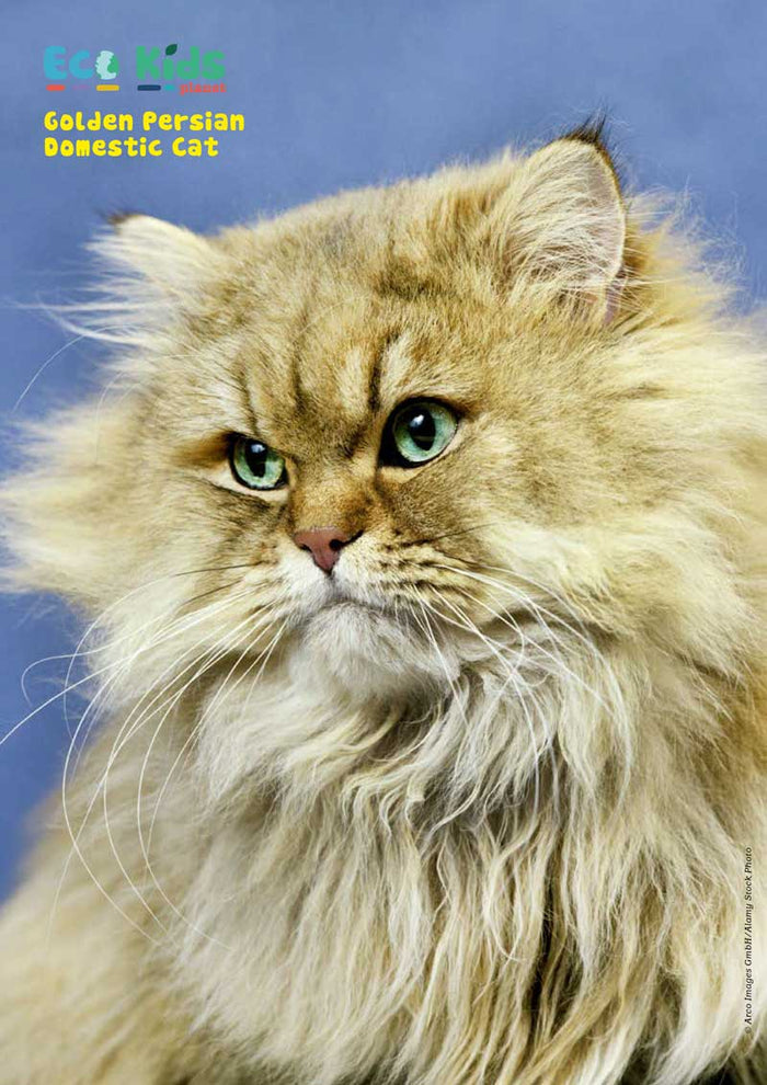 Kid's Nature Magazines - Issue 54 - Fantastic Pets