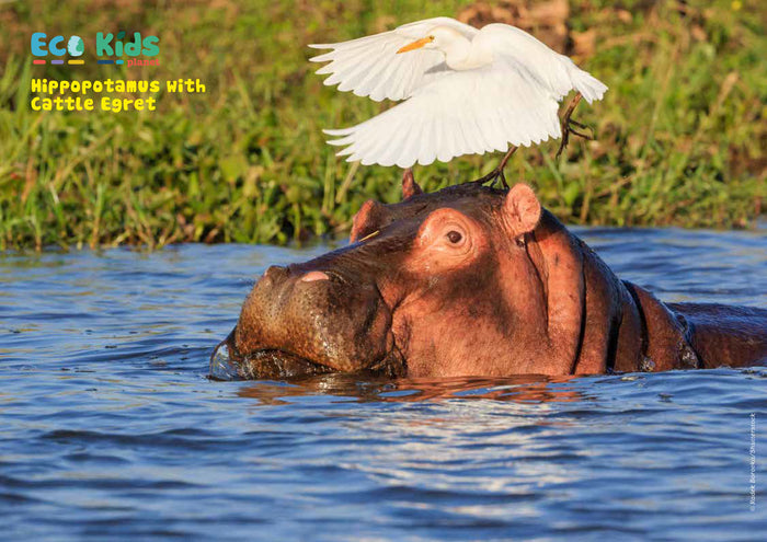 Kid's Nature Magazines - Issue 55 - The Nile River