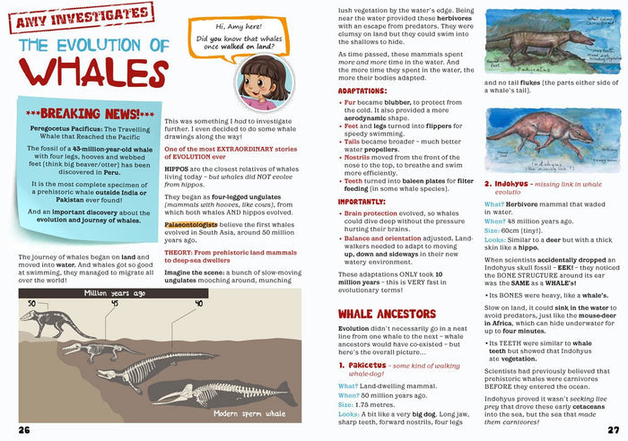 Kid's Nature Magazines - Issue 56 - Marine Mammals