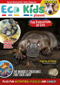 Kid's Nature Magazines - Issue 59 - The Evolution of Life