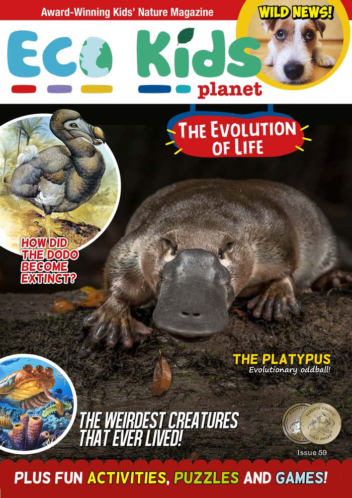 Kid's Nature Magazines - Issue 59 - The Evolution of Life
