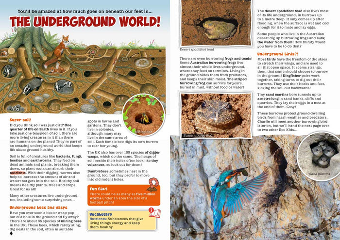 Kid's Nature Magazines - Issue 60 - Underground Life