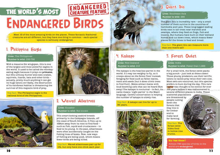 Kid's Nature Magazines - Issue 69/70 - Brilliant Birds