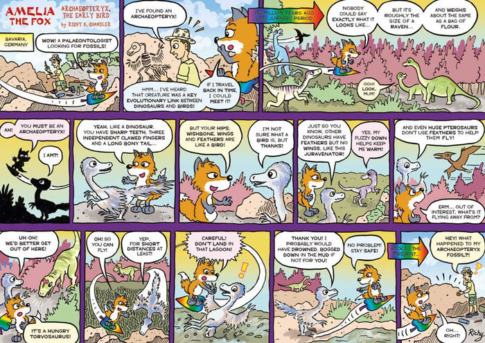 Kid's Nature Magazines - Issue 69/70 - Brilliant Birds