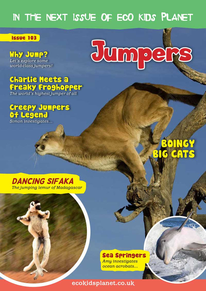 Kid's Nature Magazines – Issue 102 - Terrific Tails