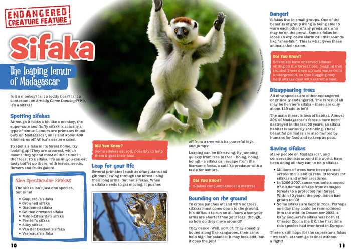 Kid's Nature Magazines – Issue 103 - Jumpers