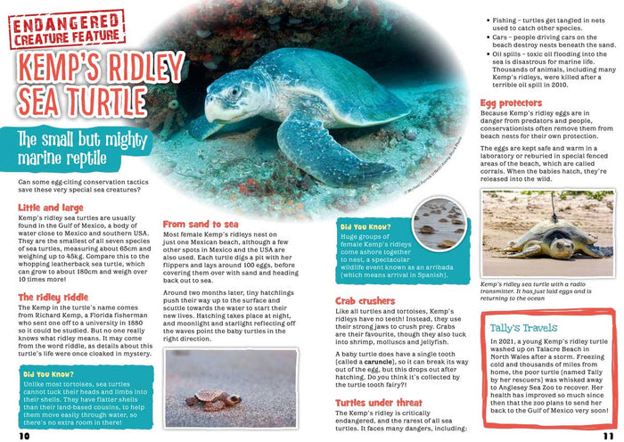 Kid's Nature Magazines – Issue 104 - Turtles of the World