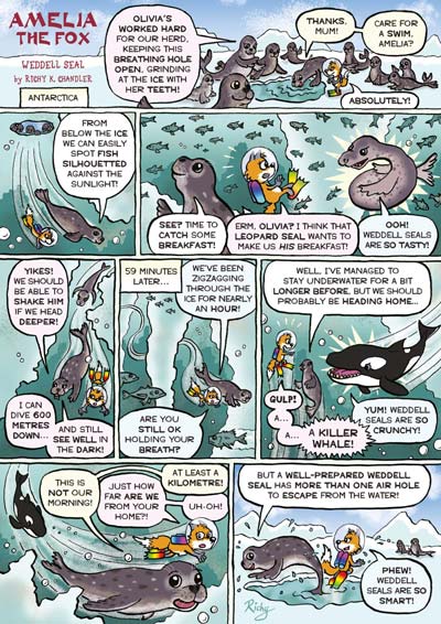 Kid's Nature Magazines – Issue 110 – Extreme Ocean